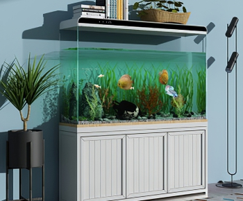 Modern Fish Tank-ID:181224111
