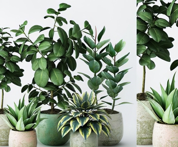 Modern Potted Green Plant-ID:516220091