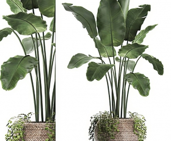 Modern Potted Green Plant-ID:326600075