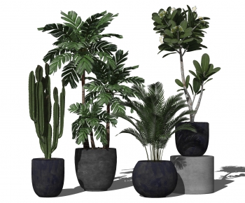 Modern Potted Green Plant-ID:510962015