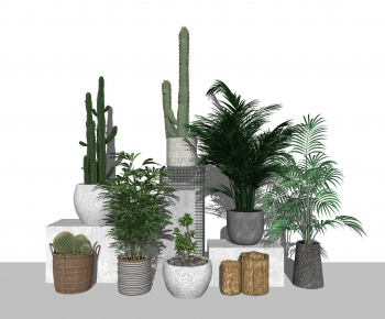 Modern Potted Green Plant-ID:816860911