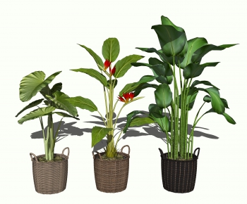 Modern Potted Green Plant-ID:716089013