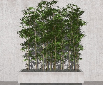 现代竹子景观植物-ID:1098338