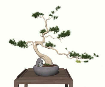 New Chinese Style Bonsai-ID:445030936