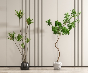 Modern Potted Green Plant-ID:123583086