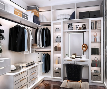 Modern Clothes Storage Area-ID:996325971