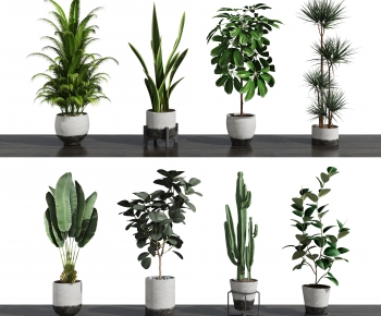 Modern Potted Green Plant-ID:568682917