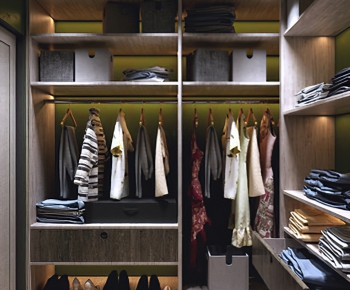 Modern Clothes Storage Area-ID:367976901