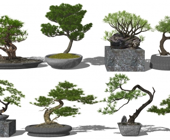新中式松树植物盆栽 迎客松-ID:276084902