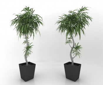 Modern Potted Green Plant-ID:909154896