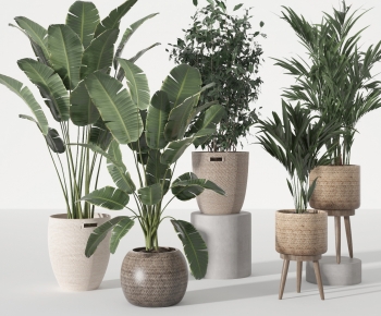 Modern Potted Green Plant-ID:600511074