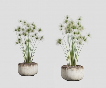 Modern Potted Green Plant-ID:382203103