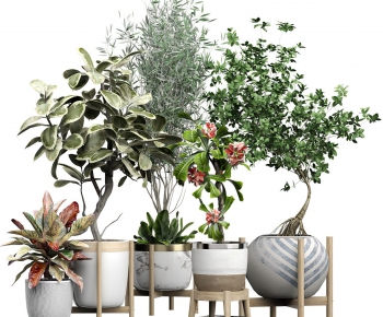 Modern Potted Green Plant-ID:951149538