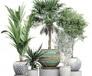 Modern Potted Green Plant-ID:844650377