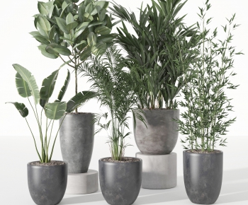 Modern Potted Green Plant-ID:486388926