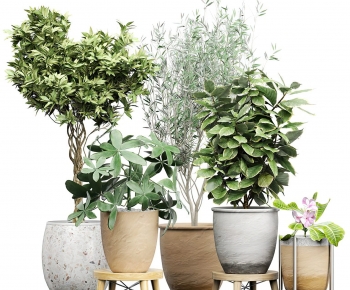 Modern Potted Green Plant-ID:595415123