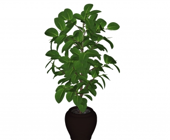 Modern Potted Green Plant-ID:328198917