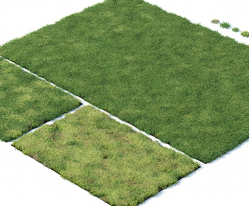 Modern The Grass-ID:469599969