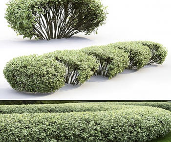 Modern Shrubbery-ID:407099015