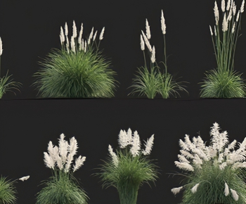 Modern Flowers And Grass-ID:310539968