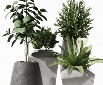 Modern Potted Green Plant-ID:105026011