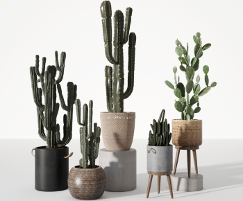 Nordic Style Potted Green Plant-ID:855650909
