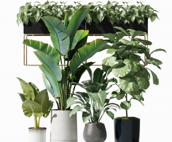 Modern Potted Green Plant-ID:937819008