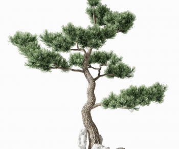 New Chinese Style Tree-ID:524238115