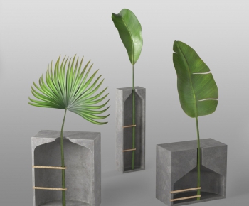 Modern Plant-ID:929600008