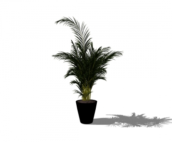 Modern Potted Green Plant-ID:527920739