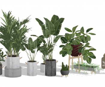 Modern Potted Green Plant-ID:369772911