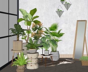 Modern Potted Green Plant-ID:528723966