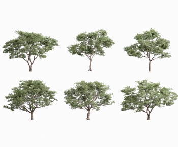 Modern Tree-ID:658488997