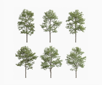 Modern Tree-ID:603209029