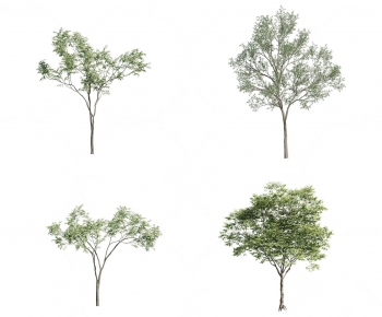 Modern Tree-ID:621671925