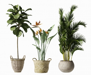 Modern Potted Green Plant-ID:678791059
