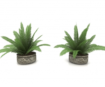 Modern Potted Green Plant-ID:227706912