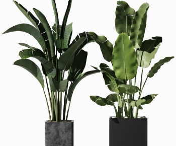 Modern Potted Green Plant-ID:425868993