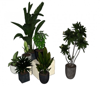 Modern Potted Green Plant-ID:792992124