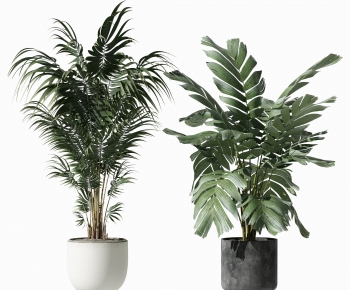 Modern Potted Green Plant-ID:240412004