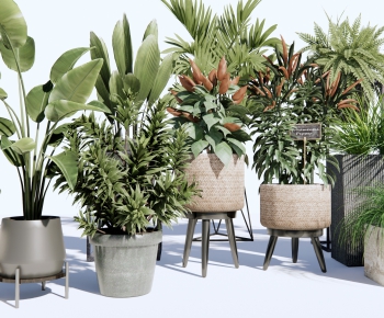 Modern Potted Green Plant-ID:360781911