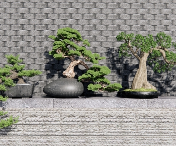 新中式松树盆栽盆景-ID:936949011