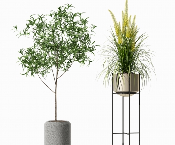 Modern Potted Green Plant-ID:261490119