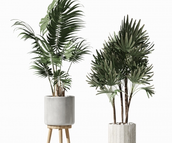 Modern Potted Green Plant-ID:540599115