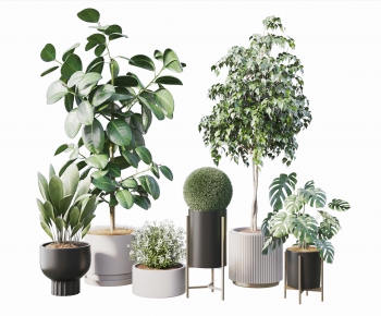 Modern Potted Green Plant-ID:253904103