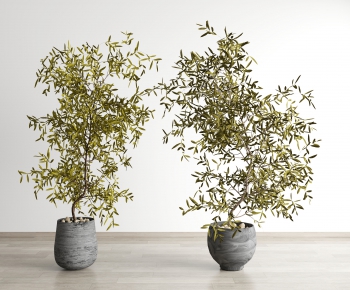 Wabi-sabi Style Potted Green Plant-ID:571549898