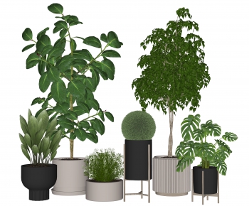 Modern Potted Green Plant-ID:896825089