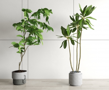 Modern Potted Green Plant-ID:123579982