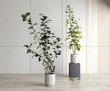 Modern Potted Green Plant-ID:576035981