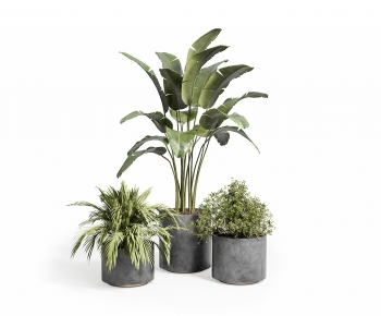 Modern Potted Green Plant-ID:800678013